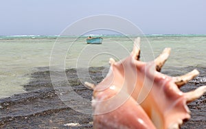 Egypt Egyptian beach with mountains and boat at Red sea