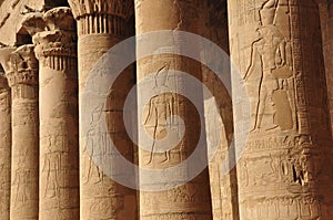 Egypt is full of historical artifacts with many columns