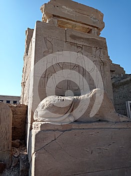 Egypt, hieroglyph, frescoes, tomb, stone, wall, temple, antiquity, mummy, column, portrait, image, ruins, ruins, statue, pharaoh