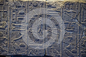 Egypt Hieroglyphics