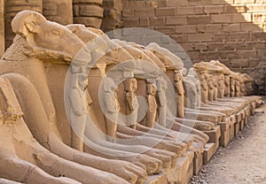 Egypt, Luxor - Karnak Temple, complex of Amun-Re.