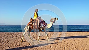 Egypt oont tourism holiday with camel riding for children