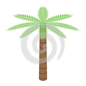 Egypt palm tree icon, isometric style