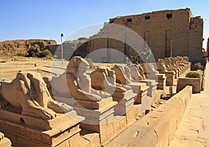 Egypt, the pharaohs, Karnak Temple Complex. Luxor.