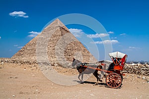 Egypt Pyramid Horse and Carriage