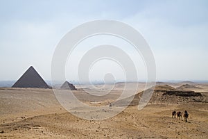 Egypt pyramids in cairo