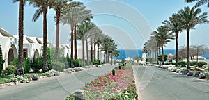 Egypt resort area of Sharm El Sheikh