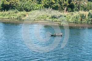 Egypt's Hidden Gem: Forest Views from Nile Cruise