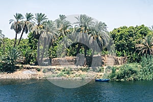 Egypt's Hidden Gem: Forest Views from Nile Cruise