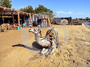 A harnessed dromedary lies on the beach in Sharm El Sheikh. Fun for tourists in Egypt,