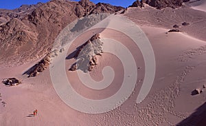 Egypt: Sinai-Desert and Sanddunes near Dahab