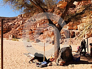 Beduins in the desert