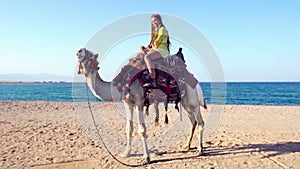 Egypt tourism with camel riding back for kids