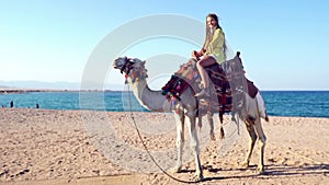 Egypt tourism with camel riding back, traditional entertainment