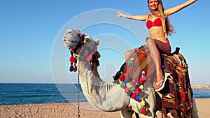 Egypt tourism with camel riding back for young woman