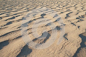 Egypt yellow sand dunes ripple background texture