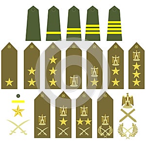 Egyptian army insignia