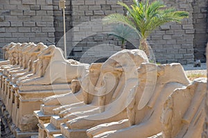 Egyptian Art. Karnak Temple. Avenue of sphinxes with ram`s head. Around Luxor