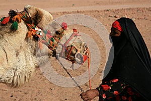 Egyptian bedouin with camel