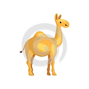 Egyptian camel. Cartoon character of desert animal. Creature with hump on its back. Graphic element for promo poster of