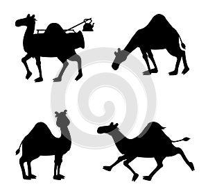 Egyptian camel isolated vector Silhouettes