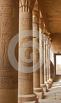 Egyptian carving on column in Philae temple