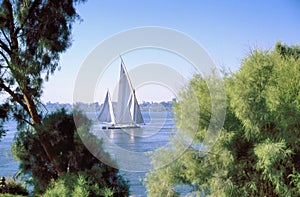 Egyptian felucca , small sailingboat