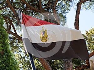 Egyptian flag waving