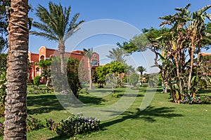 Egyptian garden with palm trees in hotel Caribbean World Resort Soma Bay