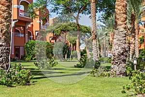 Egyptian garden with palm trees in hotel Caribbean World Resort Soma Bay