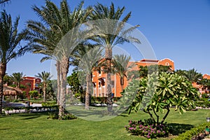 Egyptian garden with palm trees in hotel Caribbean World Resort Soma Bay