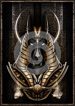 Egyptian God - Jackal close-up against the background of a stone slab with cracks and hieroglyphs. Anubis - Guardian of the scales