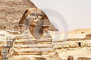 Egyptian Great Sphinx full body portrait head,with pyramids of Giza background Egypt empty with nobody. copy space