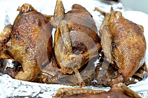 Egypťan tradiční plněný holub jídlo plný orientální pečený holubi jídlo na fólie 
