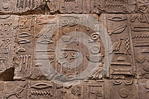 Egyptian hieroglyph`s character`s on stone