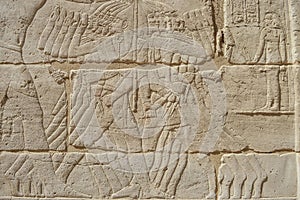 Egyptian hieroglyphic carvings on wall