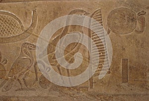 Egyptian hieroglyphic writing with Bird Symbols photo