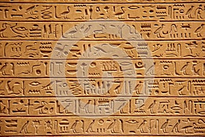 Egyptian hieroglyphics photo