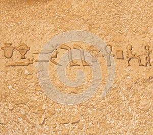 Egyptian hieroglyphics from saqqarah, cairo