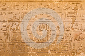 Egyptian hieroglyphics from saqqarah, cairo