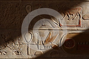 Egyptian Hieroglyphs