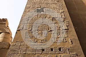 Egyptian hieroglyphs and drawings on the walls and columns. Egyptian language, The life of ancient gods and people in