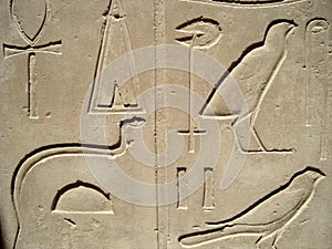Egyptian hieroglyphs in Luxor
