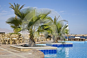 Egyptian Hotel Poolside