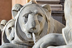 Egyptian lion