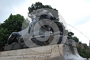 Egyptian lion fountain statue at the foot of Capitoline Hill, Rome, Italy