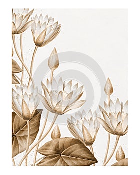 Egyptian lotus vintage illustration wall art print and poster design remix from original artwork of Pierre-Joseph Redout