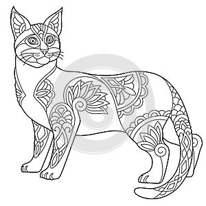 Egyptian Mau cat coloring page