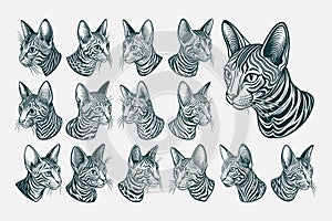 Egyptian mau cat head portrait illustration design bundle