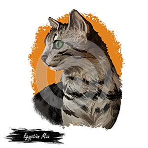 Egyptian Mau Cat Portrait Isolated, Digital Art